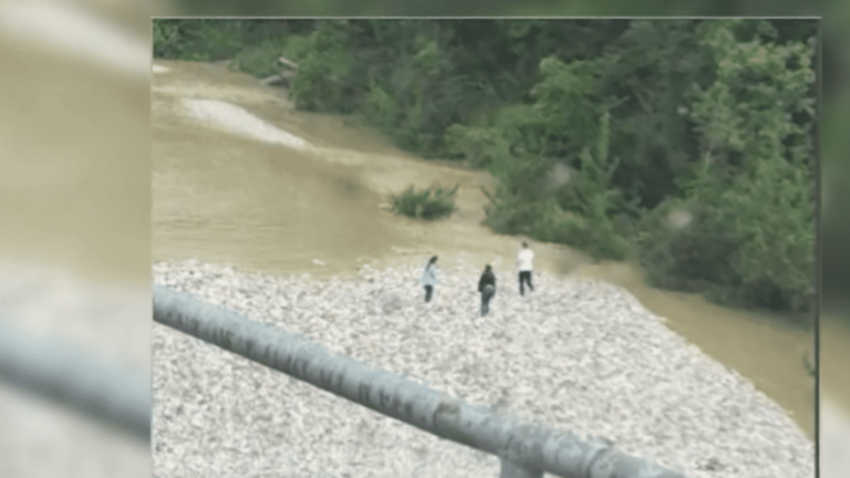 three young people disappear in the flood of a river