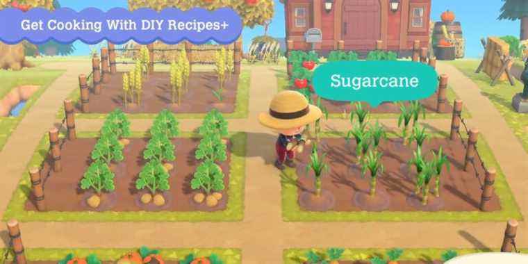 Animal Crossing New Horizons a raison de s’inspirer de Stardew Valley