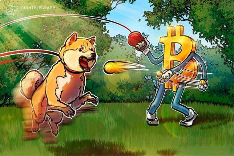 Dogecoin perd 70% contre Bitcoin pendant 6 mois d’approbations de célébrités DOGE