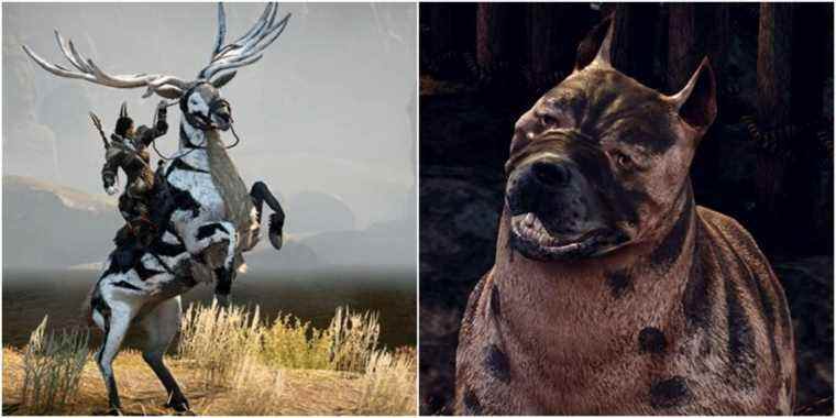 Dragon Age 4 devrait abandonner ses montures et ramener son animal de compagnie Mabari