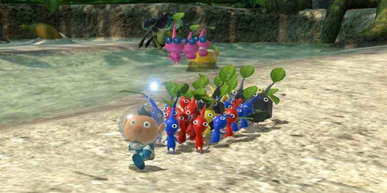 Le jeu Niantic Pikmin a un nouveau nom