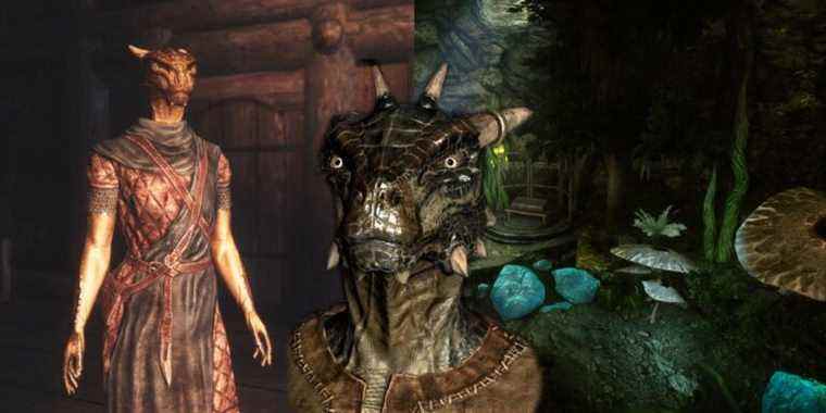 Les meilleurs mods Skyrim pour les Argoniens