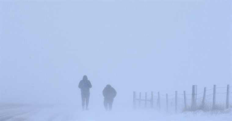 Les tempêtes s’écrasent sur ces deux romans, laissant les humains dans leur sillage