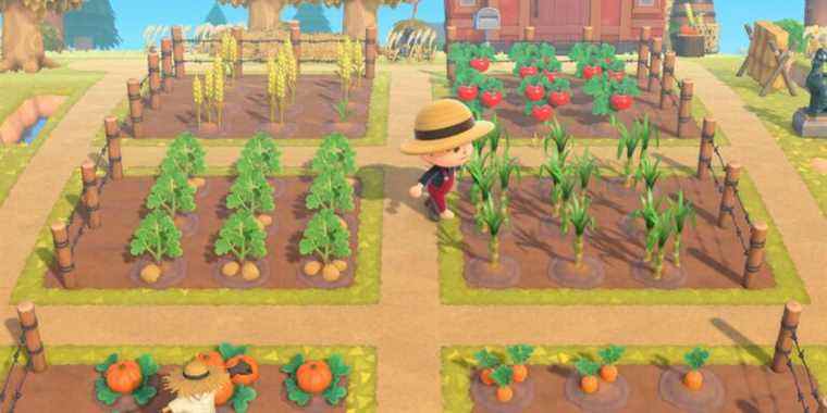 New Horizons est en concurrence avec Stardew Valley