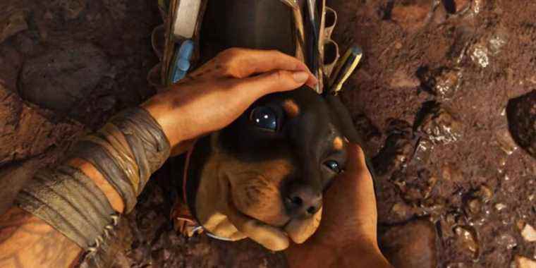 Une vidéo virale montre la réaction hilarante et déchirante d’un chien à Far Cry 6