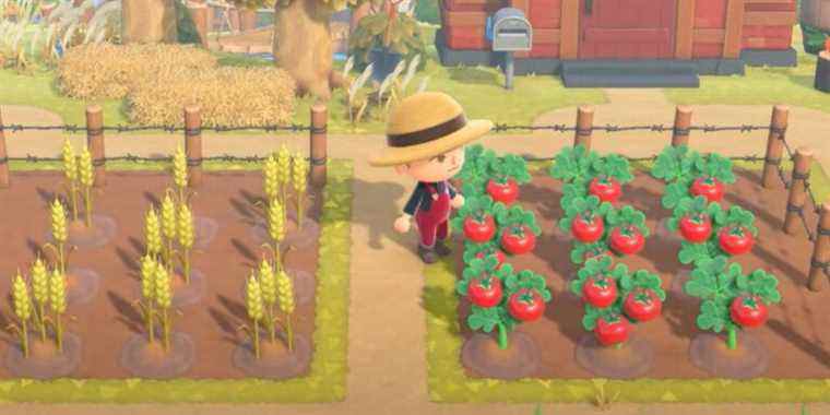 Animal Crossing: New Horizons – Comment obtenir des légumes