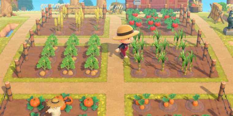 Animal Crossing: New Horizons – Comment obtenir du blé