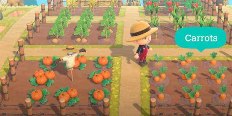 Animal Crossing: New Horizons – Guide d’élevage