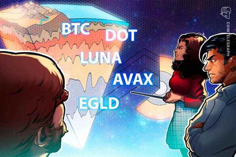 BTC, DOT, LUNA, AVAX, EGLD