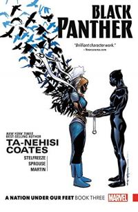 Black Panther : Une nation sous nos pieds (Tome 3) Résumé et guide d’étude Description