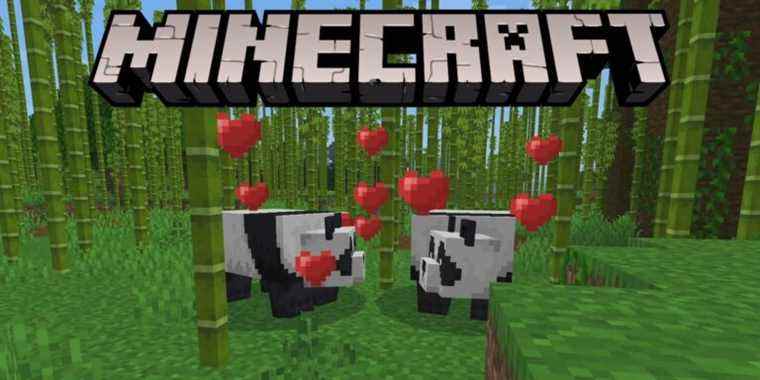 Comment élever des pandas dans Minecraft