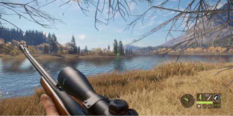 Conseils pour débutants pour TheHunter : Call Of The Wild