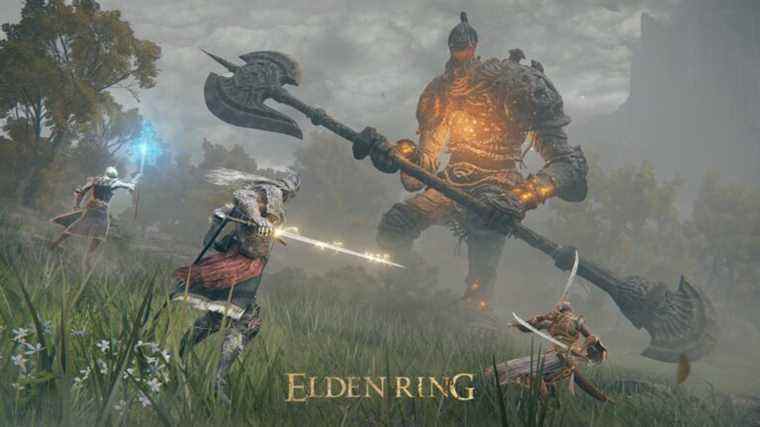 Elden Ring est verrouillé à 60 FPS sur PC