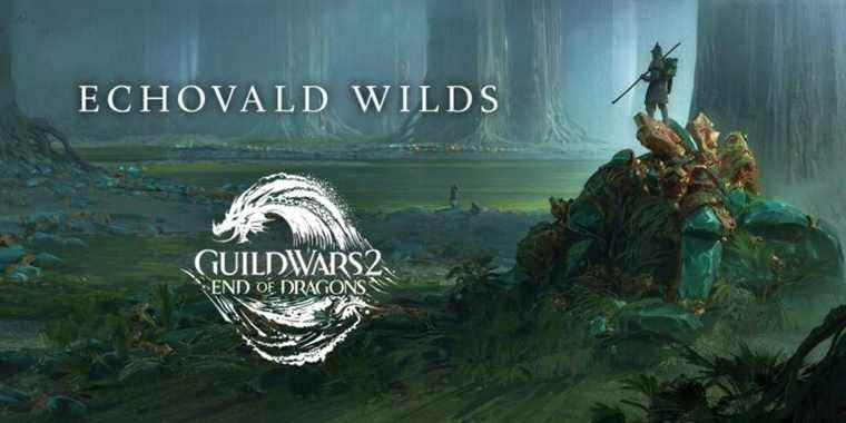 End of Dragons offre un premier aperçu d’Echovald Wilds