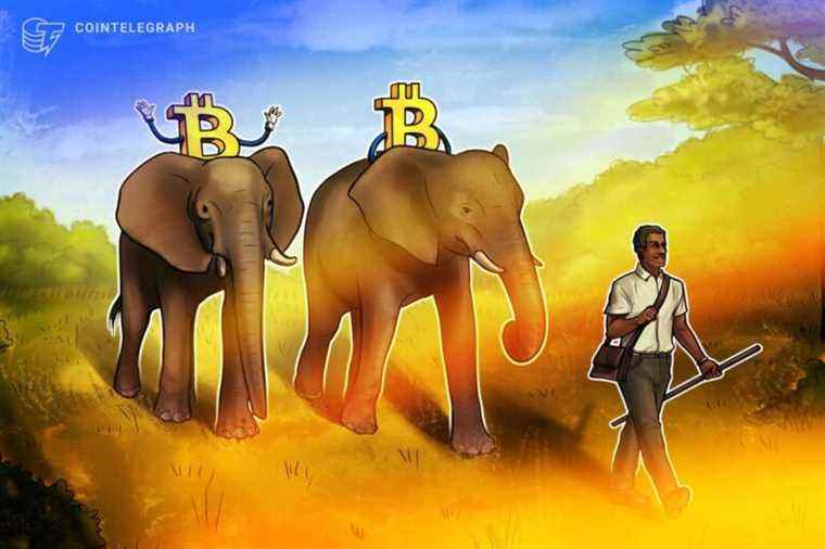 Le Zimbabwe pourrait être le prochain pays à adopter le Bitcoin comme monnaie légale