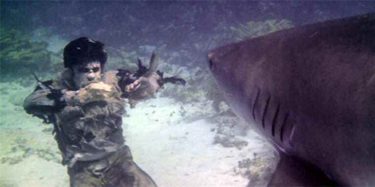 Le film de zombie le plus sauvage jamais réalisé a un zombie combattant un requin