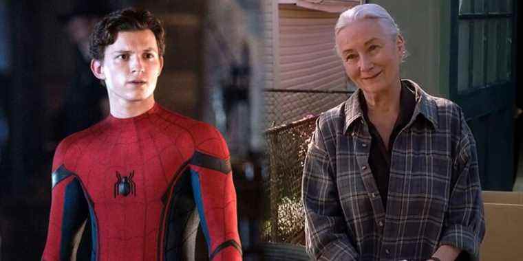 Les 3 Spider-Men et leur tante Mays se réunissent dans ce fan art