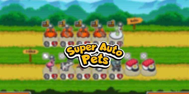 Meilleures constructions hilarantes dans Super Auto Pets