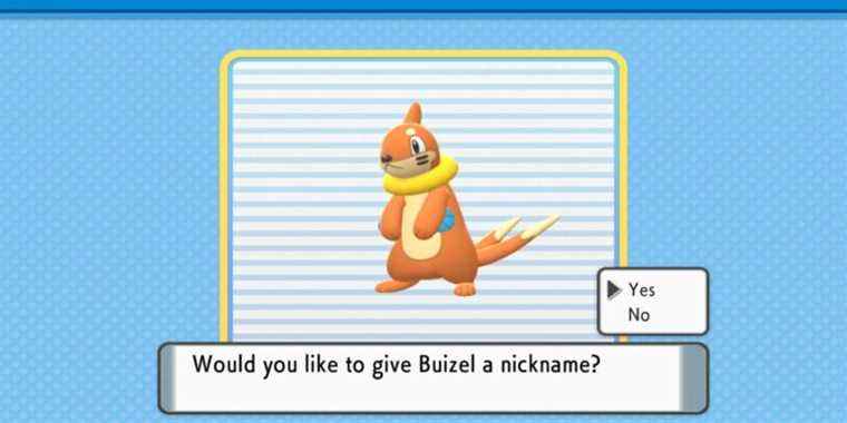 Pokemon Brilliant Diamond & Shining Pearl: Comment obtenir Buizel