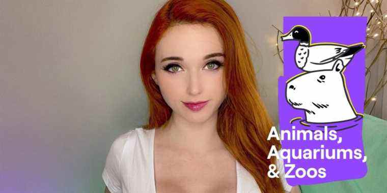 Pourquoi Amouranth est bon pour la catégorie Animaux, aquariums et zoos de Twitch