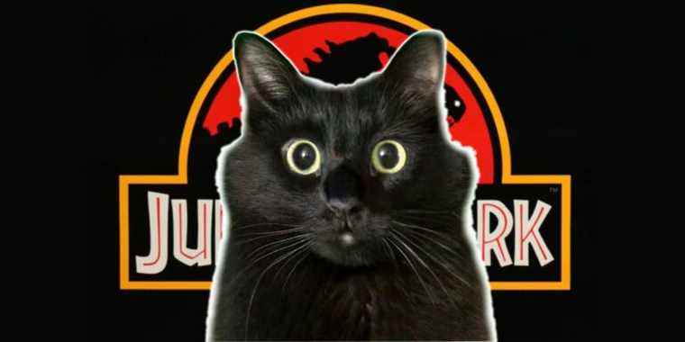 Un chat adorable remplace le T-Rex de Jurassic Park dans cette vidéo YouTube hilarante