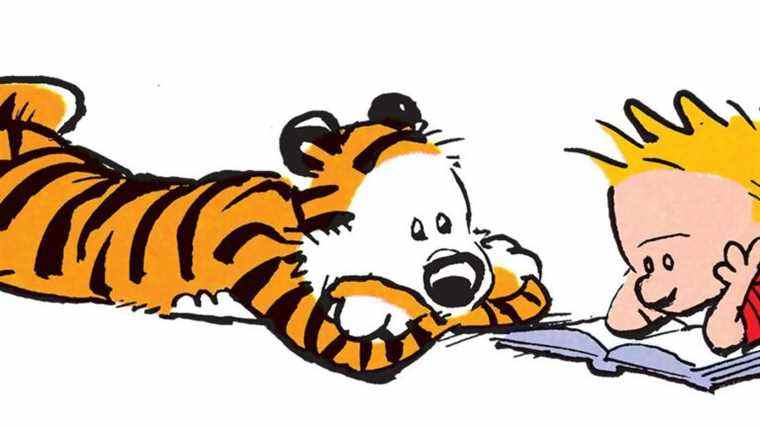 Un classement définitif des collections Calvin et Hobbes