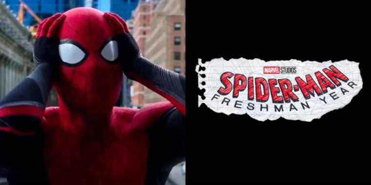 Une préquelle MCU Spider-Man est-elle vraiment nécessaire ?