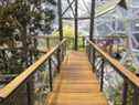 Une vue à l'intérieur des Amazon Spheres à Seattle, un exemple célèbre d'un espace de travail de biophilie.