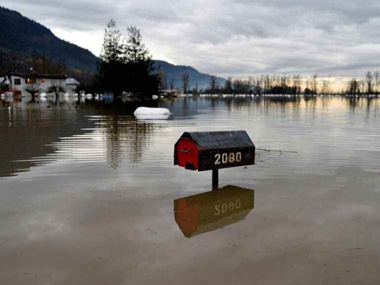 Terence Corcoran : Le vrai lien des inondations au climat