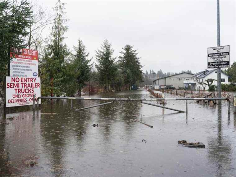 Les économistes réduisent les prévisions de croissance sur les inondations en Colombie-Britannique, mais voient les hausses de taux sur la bonne voie