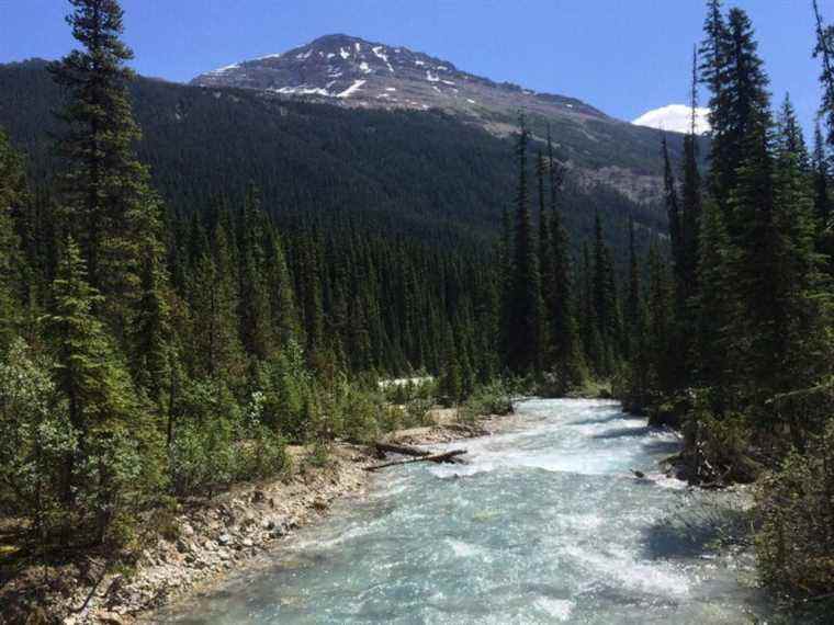 Le ministre fédéral versera de l’argent pour lutter contre les espèces aquatiques envahissantes dans les parcs des montagnes