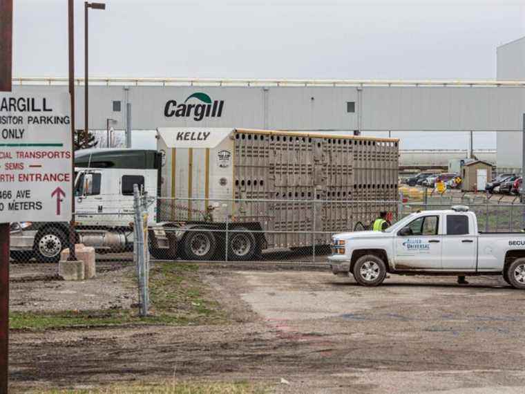 L’usine Cargill qui fournit 40 % du bœuf canadien évite la grève