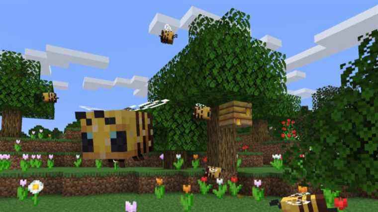 Minecraft 1.18.1 sauve les abeilles
