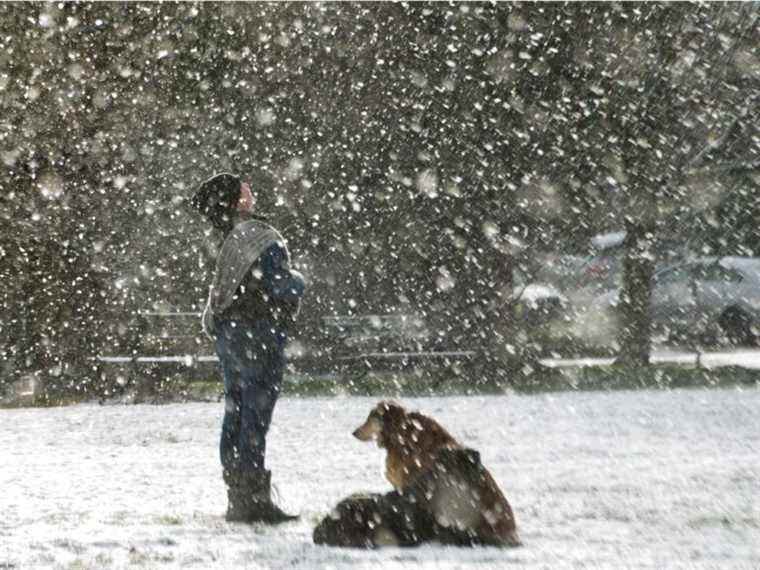 Environnement Canada met en garde contre la pluie, la neige et les vents forts dans certaines parties de la Colombie-Britannique