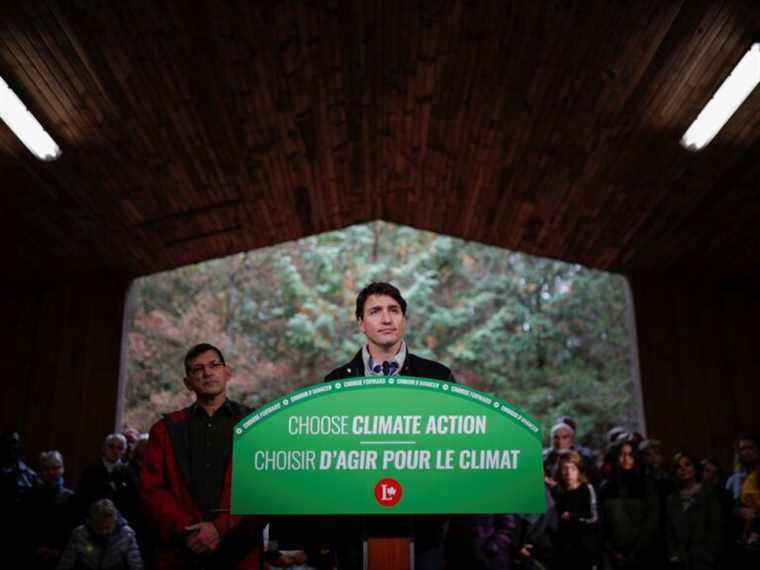 Seulement 8,5 millions des deux milliards d’arbres promis par Trudeau ont été plantés