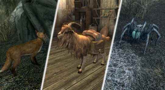 Skyrim : Où trouver les animaux de compagnie de Skyrim (et ce qu'ils font)