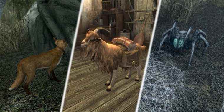 Skyrim : Où trouver les animaux de compagnie de Skyrim (et ce qu'ils font)
