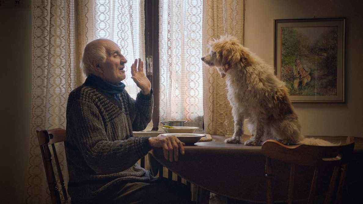 Un vieil homme et un chien floofy assis sur une table dans Les chasseurs de truffes