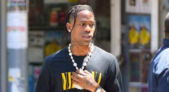 Les cactus de la marque Hard Seltzer de Travis Scott « en attente »