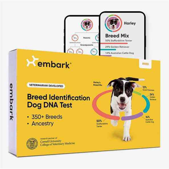 Embarquez le test ADN du chien