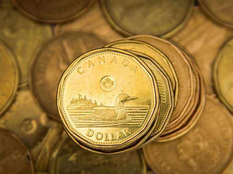 Loonie affiche la plus longue séquence de défaites en 21 mois