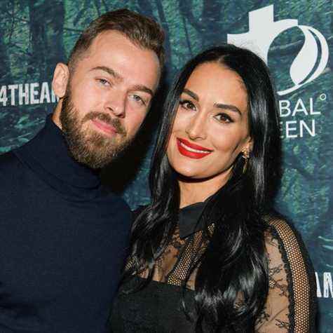 artem chigvintsev et nikki bella