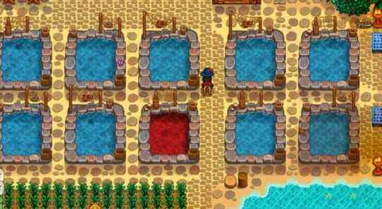 Stardew Valley : le meilleur poisson pour les étangs à poissons