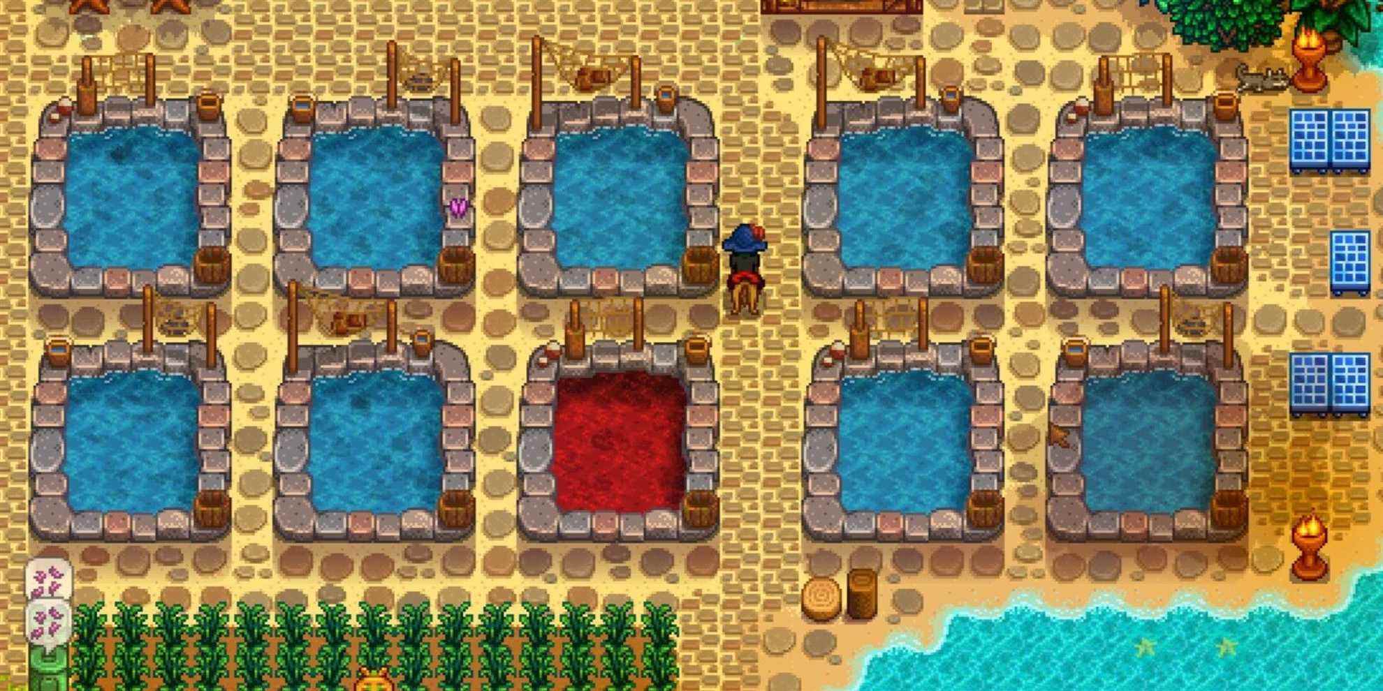 Stardew Valley : le meilleur poisson pour les étangs à poissons
