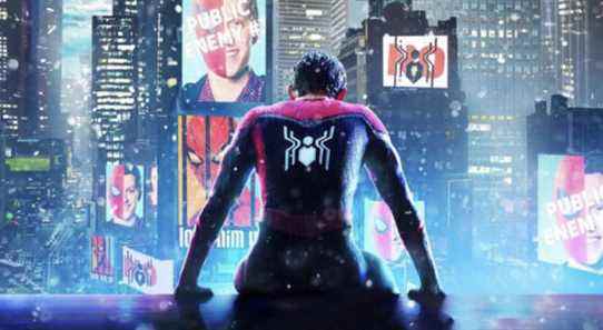 The Spider-Man: No Way Home, nous ne verrons jamais