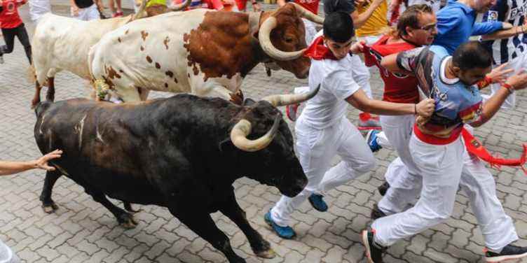 Ce que la physique peut nous apprendre sur la course annuelle des taureaux de Pampelune