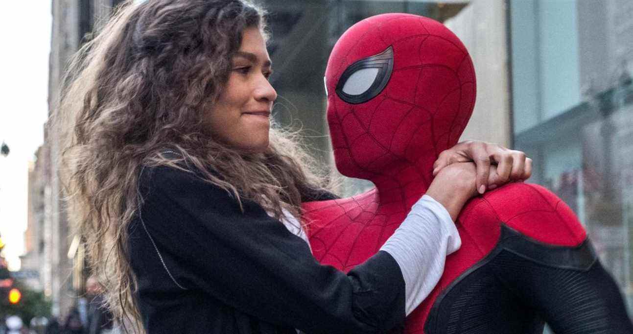 Spider-Man: le producteur de No Way Home a mis en garde Tom Holland et Zendaya contre les rencontres
