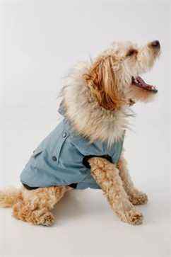 Manteau pour chien Noize Karter