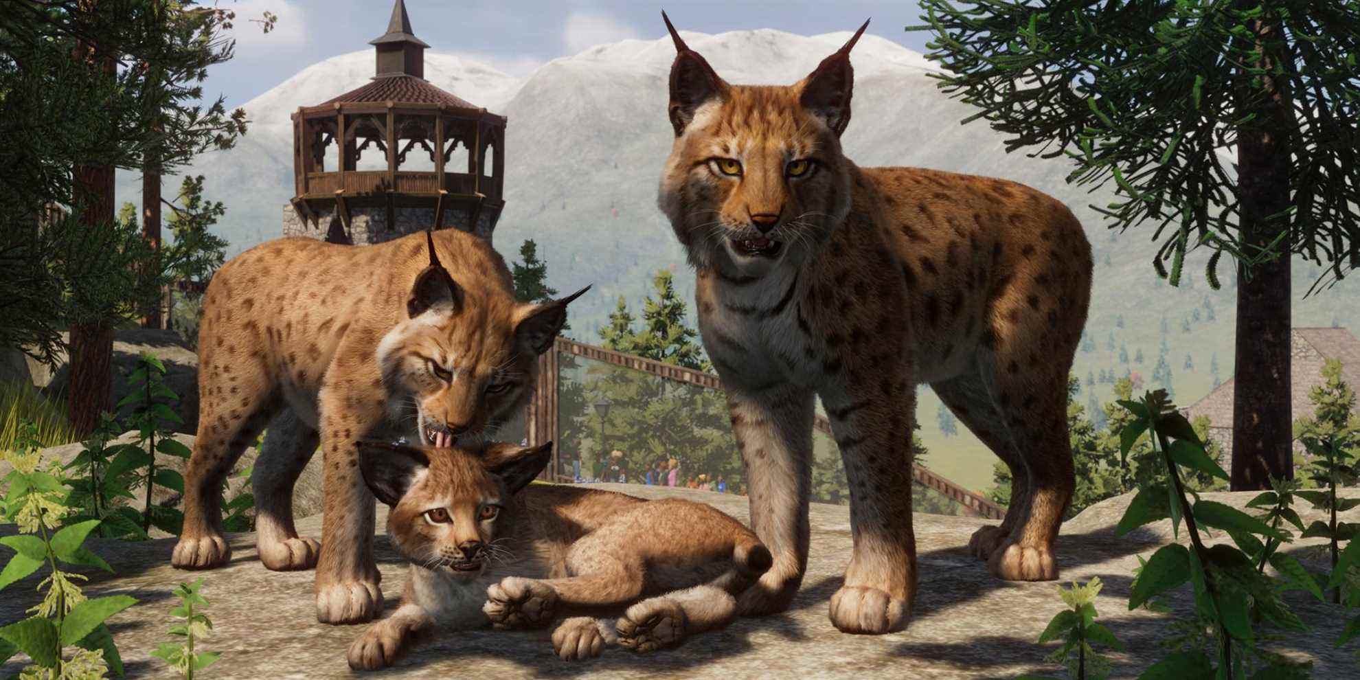 Aperçu du pack Planet Zoo Europe : Scénarios enneigés et canaux vénitiens
