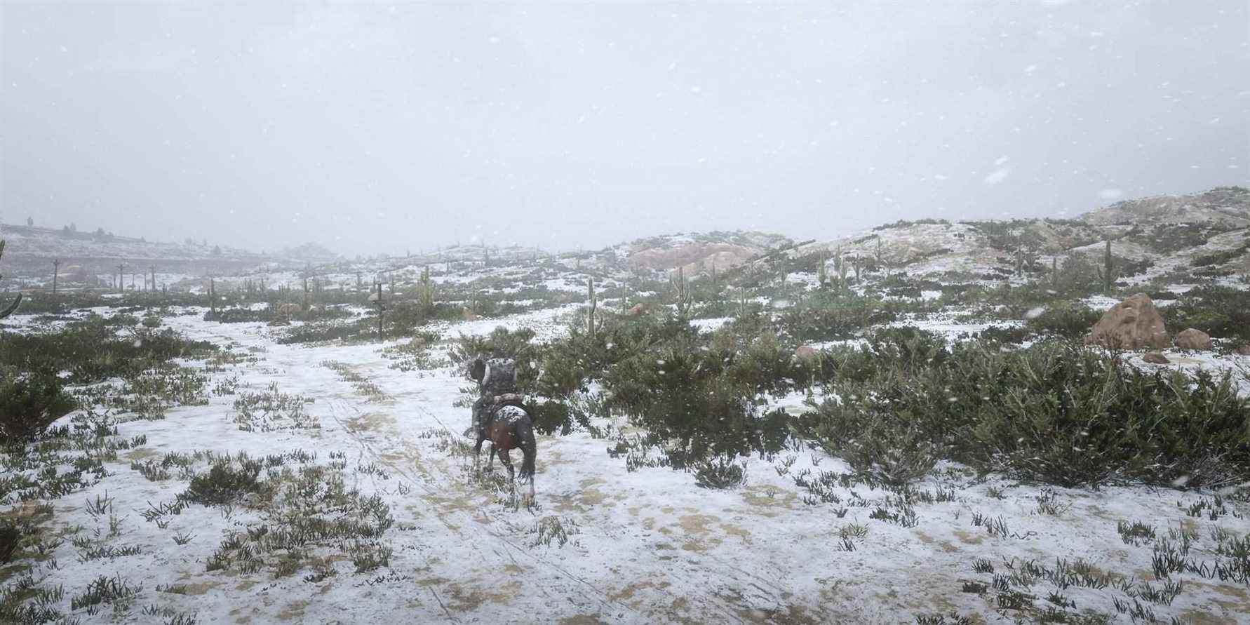 Il neige dans Red Dead Redemption 2 en ce moment
